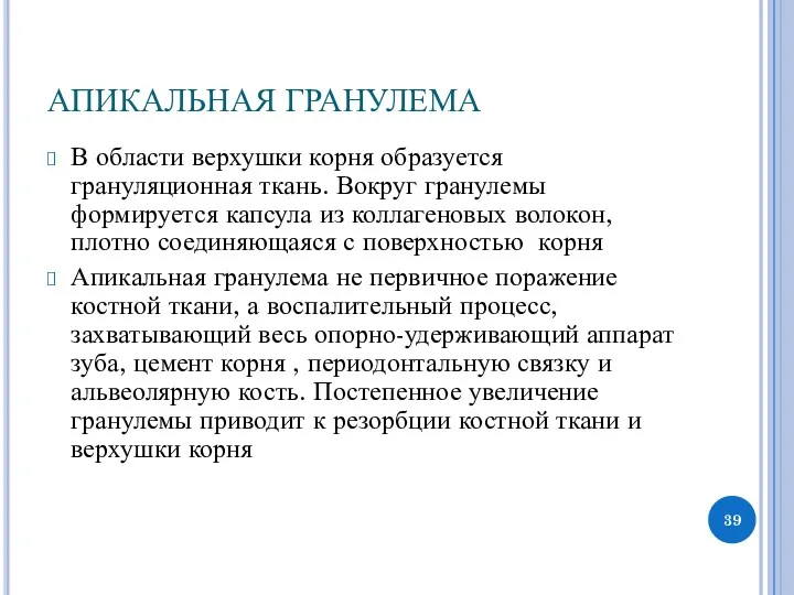 АПИКАЛЬНАЯ ГРАНУЛЕМА В области верхушки корня образуется грануляционная ткань. Вокруг