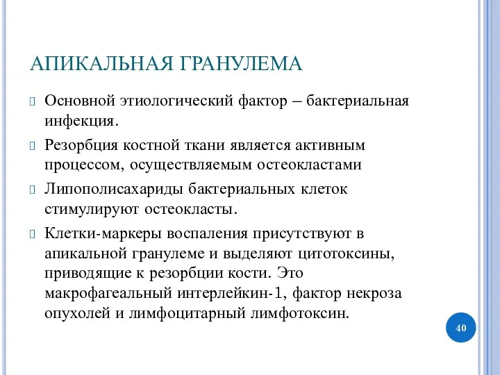 АПИКАЛЬНАЯ ГРАНУЛЕМА Основной этиологический фактор – бактериальная инфекция. Резорбция костной