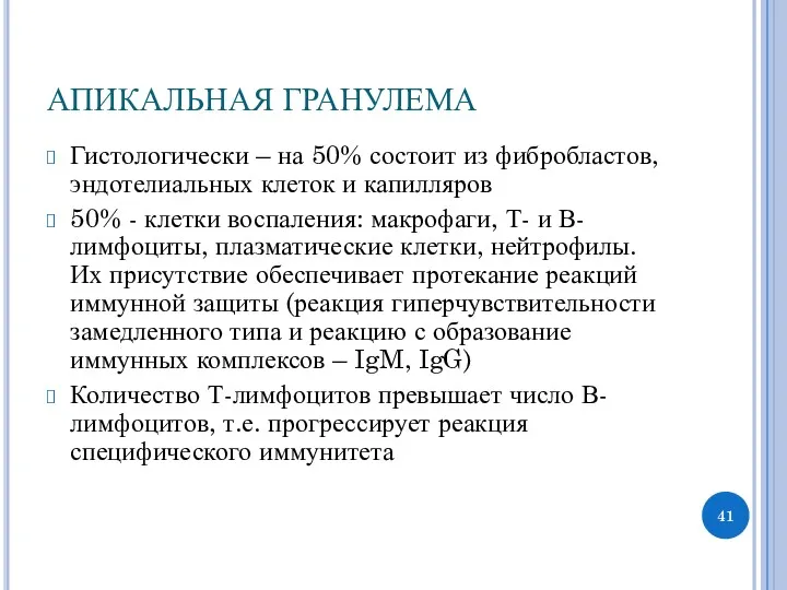 АПИКАЛЬНАЯ ГРАНУЛЕМА Гистологически – на 50% состоит из фибробластов, эндотелиальных