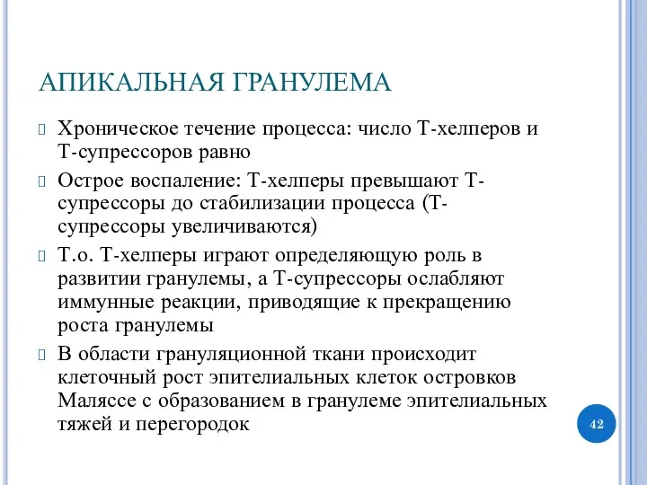 АПИКАЛЬНАЯ ГРАНУЛЕМА Хроническое течение процесса: число Т-хелперов и Т-супрессоров равно