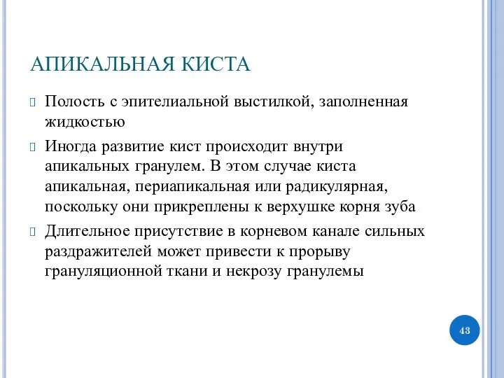 АПИКАЛЬНАЯ КИСТА Полость с эпителиальной выстилкой, заполненная жидкостью Иногда развитие