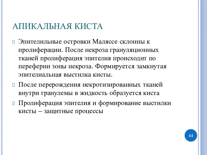 АПИКАЛЬНАЯ КИСТА Эпителильные островки Маляссе склонны к пролиферации. После некроза