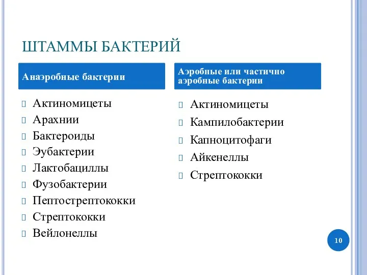 ШТАММЫ БАКТЕРИЙ Актиномицеты Арахнии Бактероиды Эубактерии Лактобациллы Фузобактерии Пептострептококки Стрептококки