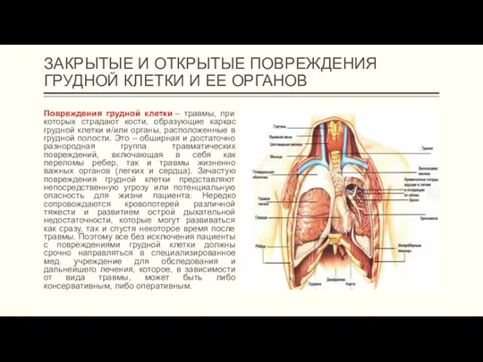 ЗАКРЫТЫЕ И ОТКРЫТЫЕ ПОВРЕЖДЕНИЯ ГРУДНОЙ КЛЕТКИ И ЕЕ ОРГАНОВ Повреждения