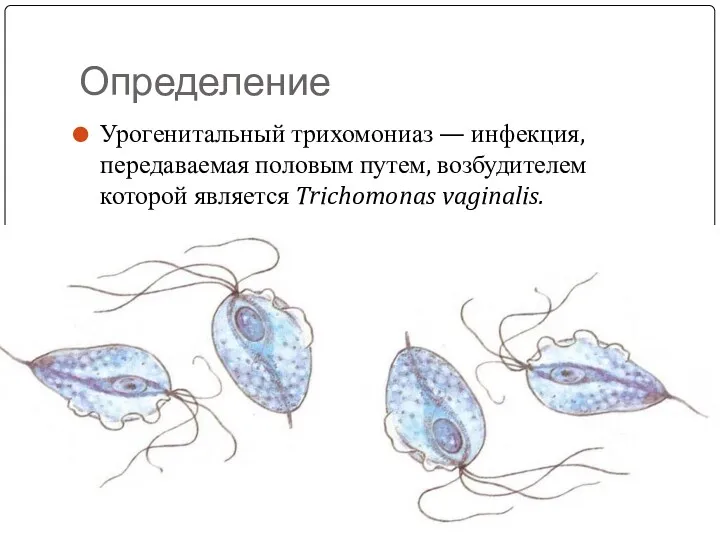 Определение Урогенитальный трихомониаз — инфекция, передаваемая половым путем, возбудителем которой является Trichomonas vaginalis.