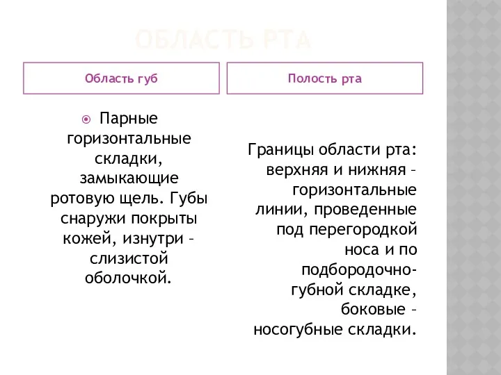 ОБЛАСТЬ РТА Область губ Полость рта Парные горизонтальные складки, замыкающие