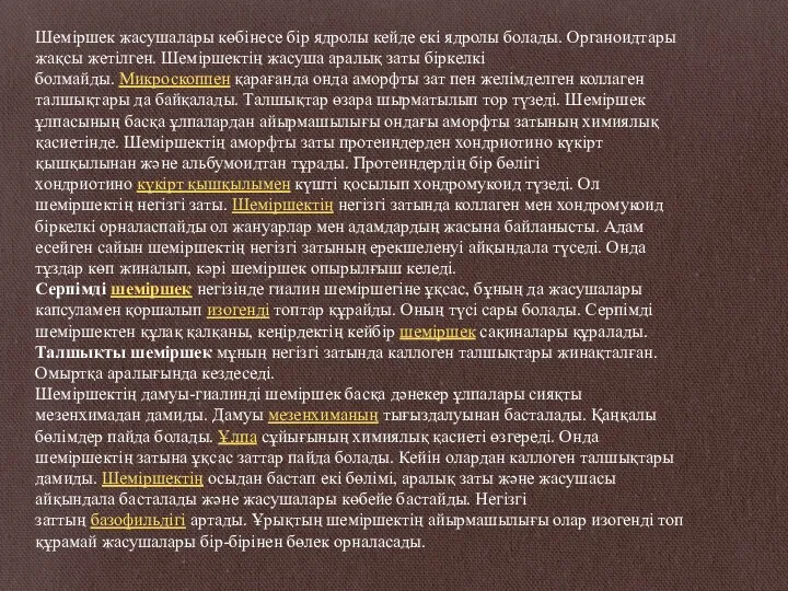 Шеміршек жасушалары көбінесе бір ядролы кейде екі ядролы болады. Органоидтары