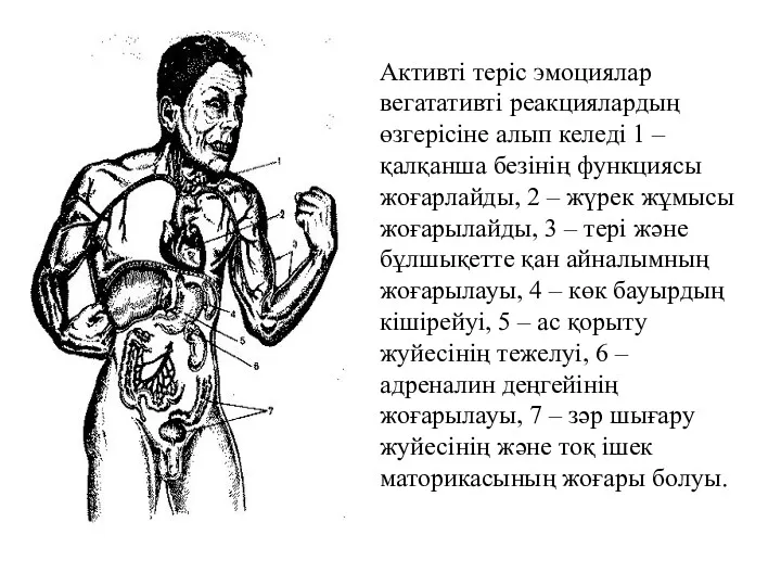 Активті теріс эмоциялар вегатативті реакциялардың өзгерісіне алып келеді 1 –қалқанша