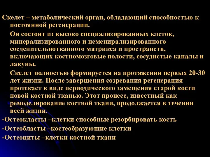 Скелет – метаболический орган, обладающий способностью к постоянной регенерации. Он