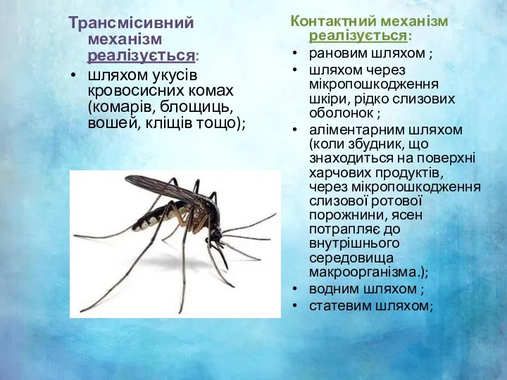 Трансмісивний механізм реалізується: шляхом укусів кровосисних комах (комарів, блощиць, вошей,
