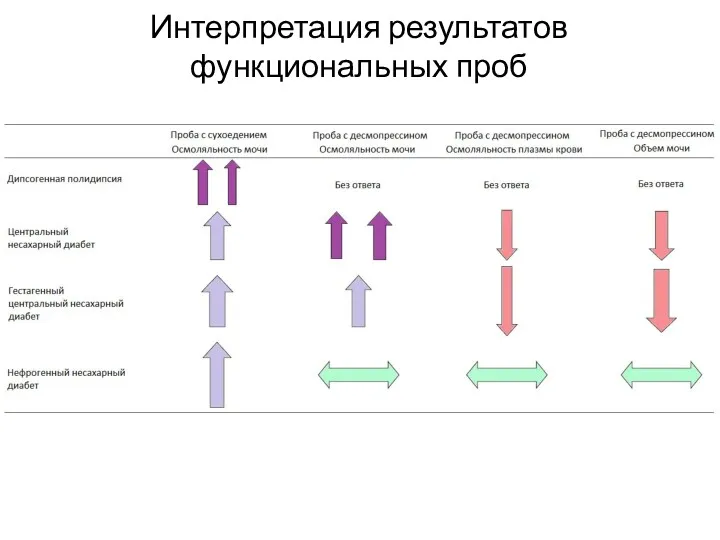 Интерпретация результатов функциональных проб