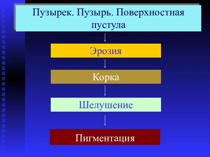 Эрозия Корка Пузырек. Пузырь. Поверхностная пустула Пигментация Шелушение