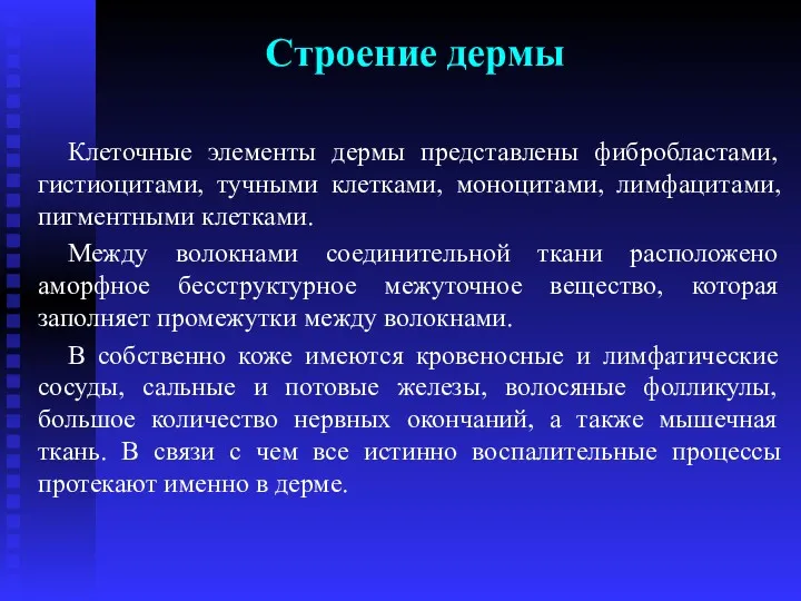 Строение дермы Клеточные элементы дермы представлены фибробластами, гистиоцитами, тучными клетками,