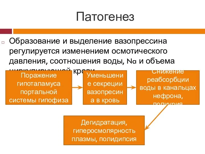 Патогенез Образование и выделение вазопрессина регулируется изменением осмотического давления, соотношения