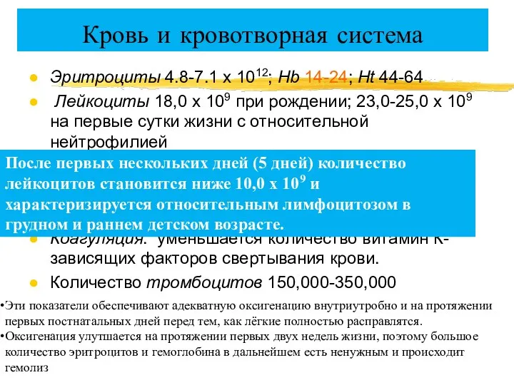 Кровь и кровотворная система Эритроциты 4.8-7.1 х 1012; Hb 14-24;