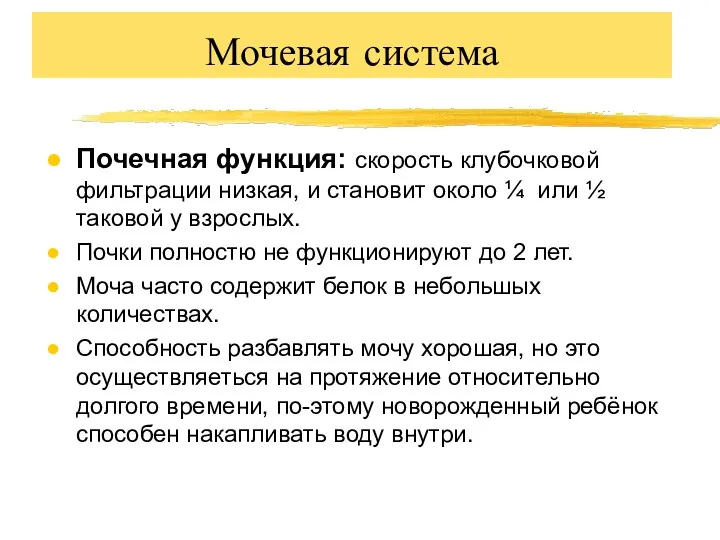 Мочевая система Почечная функция: скорость клубочковой фильтрации низкая, и становит