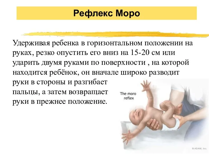 Удерживая ребенка в горизонтальном положении на руках, резко опустить его