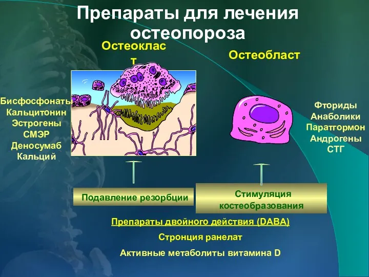 Препараты для лечения остеопороза Препараты двойного действия (DABA) Стронция ранелат