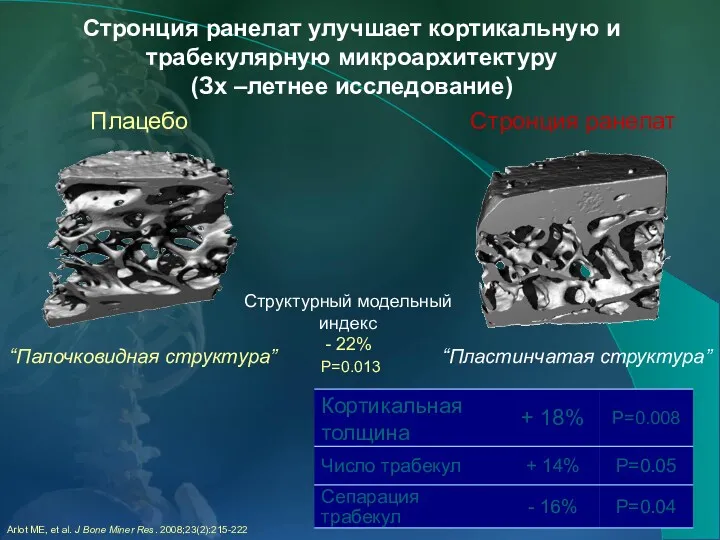 Структурный модельный индекс - 22% P=0.013 “Палочковидная структура” “Пластинчатая структура”