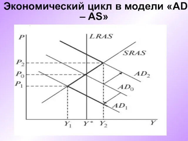 Экономический цикл в модели «AD – AS»