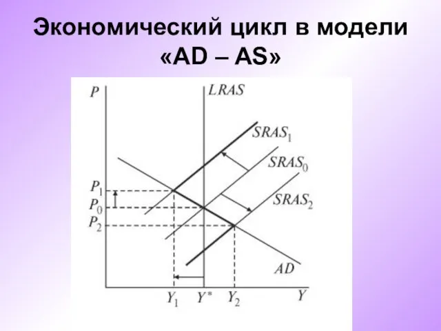 Экономический цикл в модели «AD – AS»