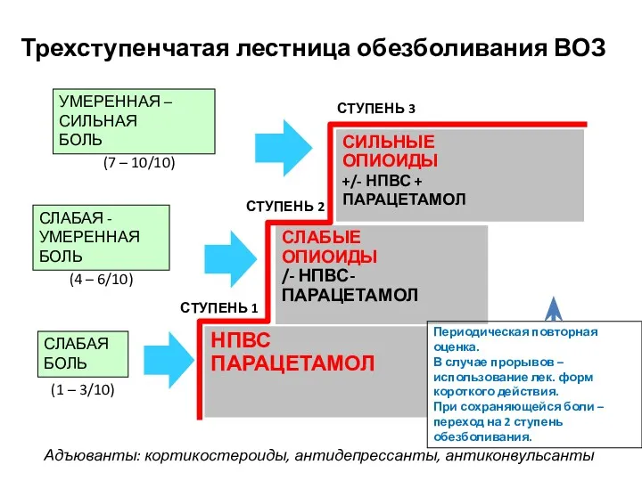 Трехступенчатая лестница обезболивания ВОЗ СИЛЬНЫЕ ОПИОИДЫ +/- НПВС + ПАРАЦЕТАМОЛ