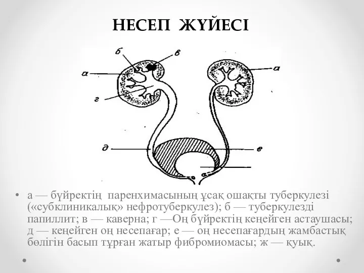 а — бүйректің паренхимасының ұсақ ошақты туберкулезі («субклиникалық» нефротуберкулез); б