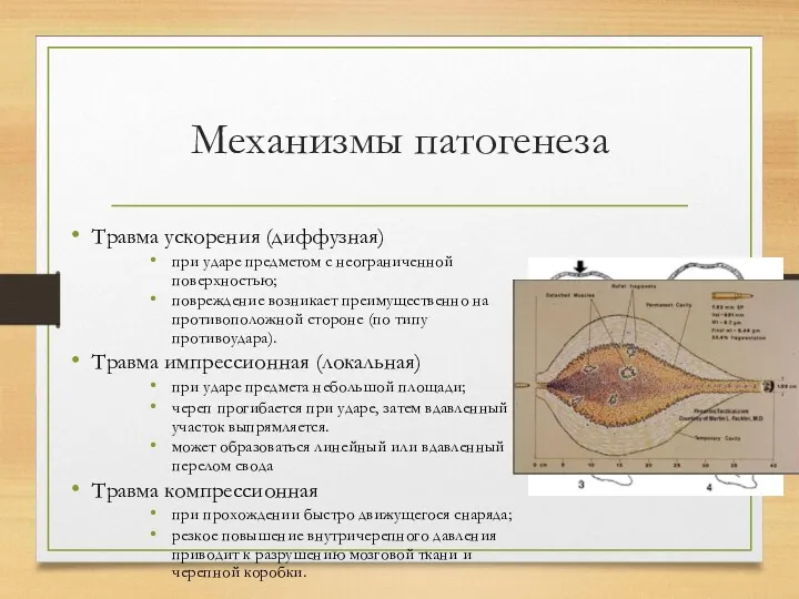 Механизмы патогенеза Травма ускорения (диффузная) при ударе предметом с неограниченной