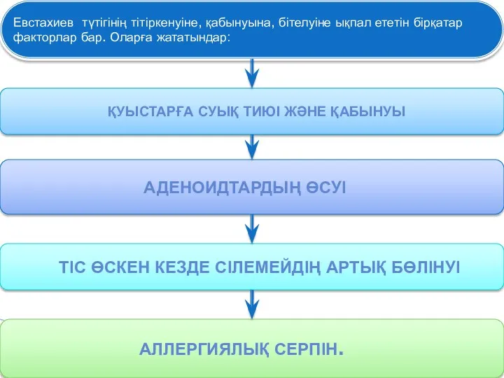 Евстахиев түтігінің тітіркенуіне, қабынуына, бітелуіне ықпал ететін бірқатар факторлар бар.