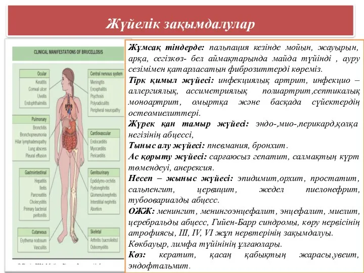 Жүйелік зақымдалулар Жұмсақ тіндерде: пальпация кезінде мойын, жауырын, арқа, сегізкөз-