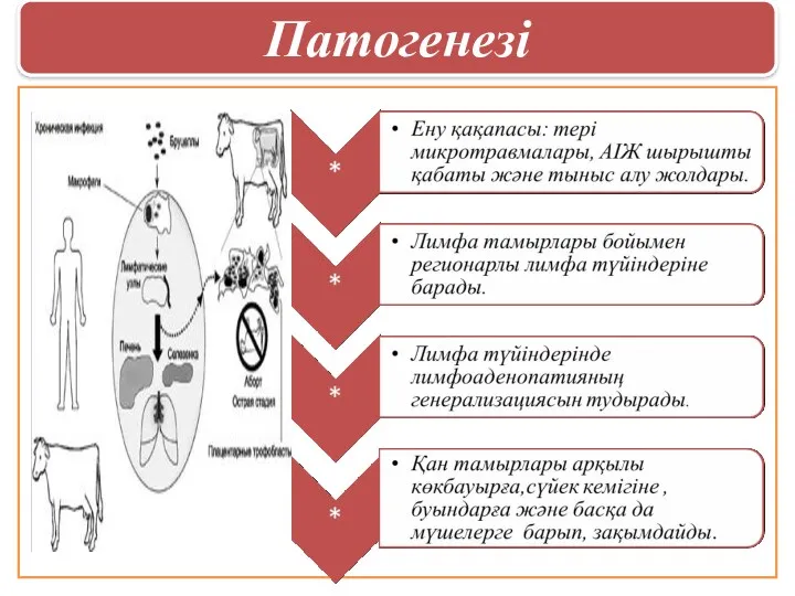 Патогенезі