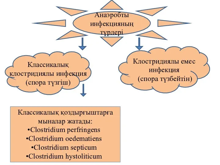 Анаэробты инфекцияның түрлері Классикалық клостридиялы инфекция (спора түзгіш) Клостридиялы емес