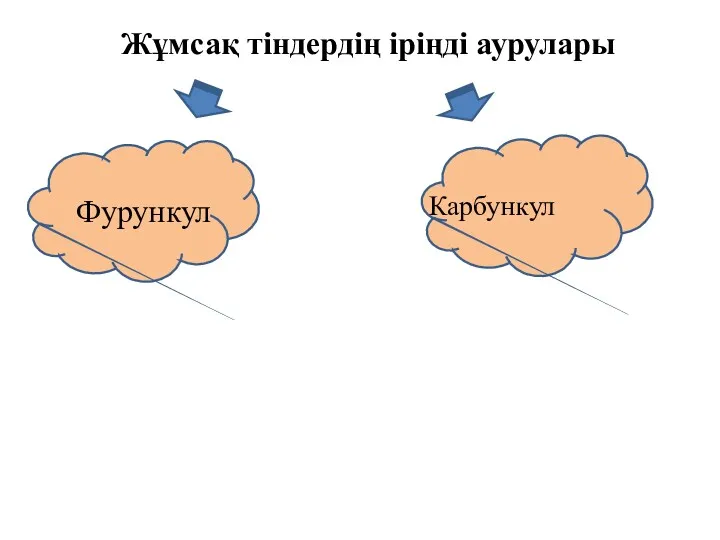 Жұмсақ тіндердің іріңді аурулары Фурункул Карбункул