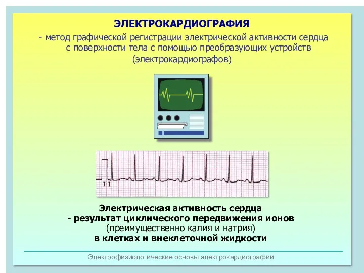 Электрофизиологические основы электрокардиографии ЭЛЕКТРОКАРДИОГРАФИЯ - метод графической регистрации электрической активности