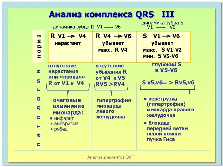 Анализ элементов ЭКГ Анализ комплекса QRS III R V1 V4