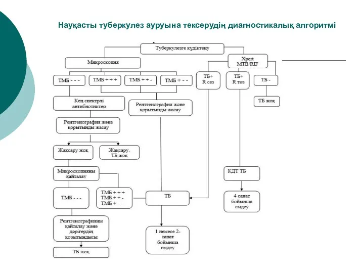 Науқасты туберкулез ауруына тексерудiң диагностикалық алгоритмi