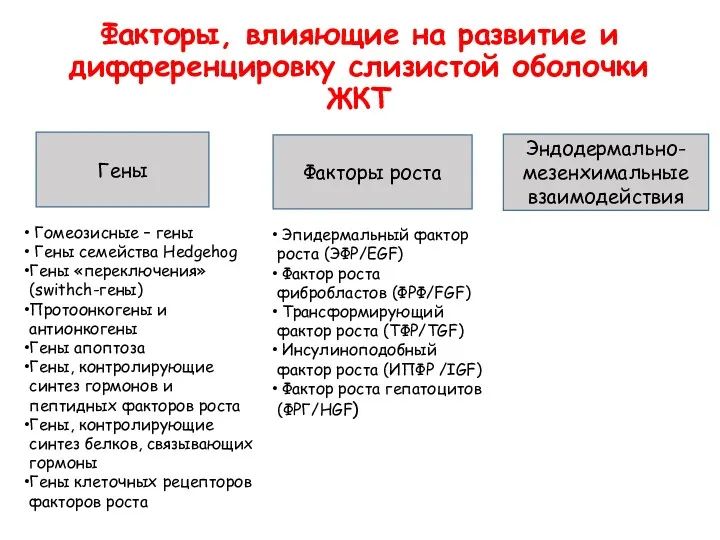 Факторы, влияющие на развитие и дифференцировку слизистой оболочки ЖКТ Гены Факторы роста Эндодермально-мезенхимальные