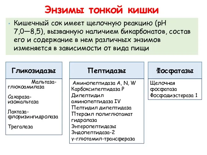 Кишечный сок имеет щелочную реакцию (pH 7,0—8,5), вызванную наличием бикарбонатов,