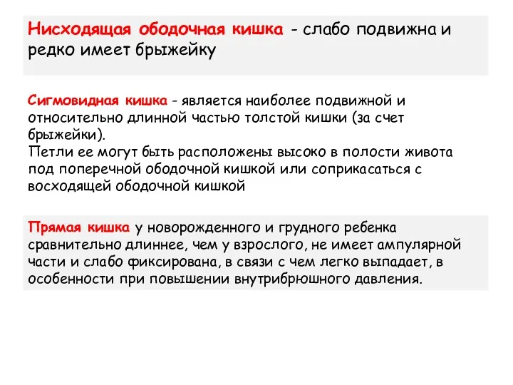 Нисходящая ободочная кишка - слабо подвижна и редко имеет брыжейку Сигмовидная кишка -