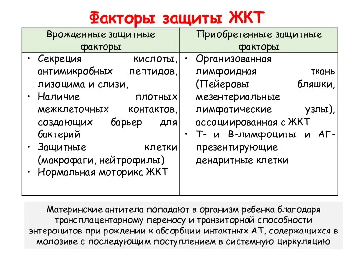 Факторы защиты ЖКТ Материнские антитела попадают в организм ребенка благодаря