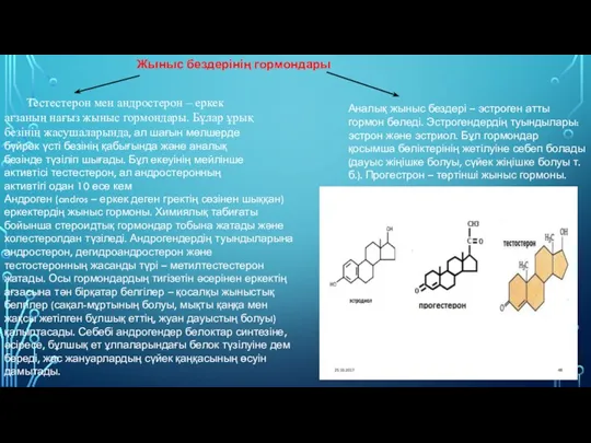 Тестестерон мен андростерон – еркек ағзаның нағыз жыныс гормондары. Бұлар