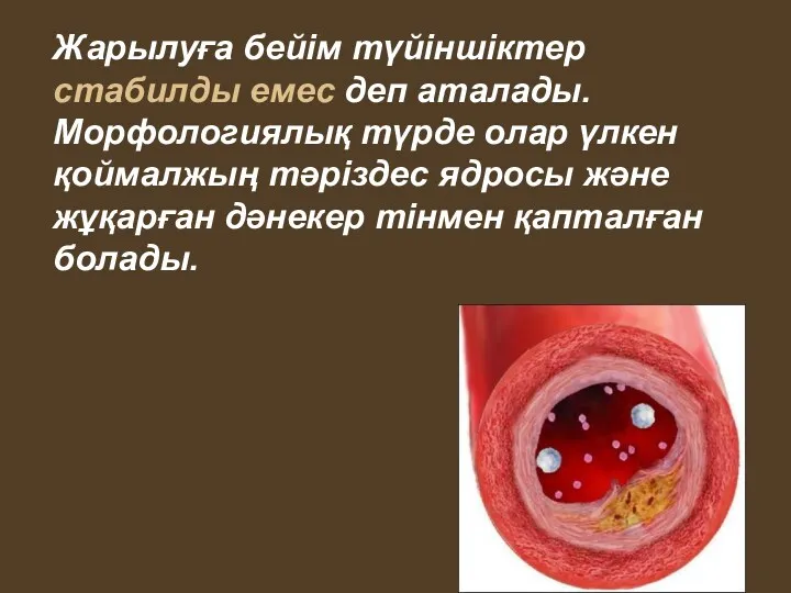 Жарылуға бейім түйіншіктер стабилды емес деп аталады. Морфологиялық түрде олар үлкен қоймалжың тәріздес