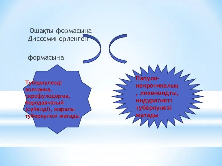 Ошақты формасына Диссеминерленген формасына Туберкулезді волчанка, скрофулодерма, бородавчатый (сүйелді), жаралы туберкулезі жатады Папуло-некротикалық,