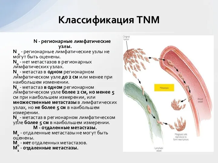 N - регионарные лимфатические узлы. N x - регионарные лимфатические