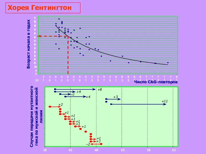 Хорея Гентингтон 0 4 8 12 16 20 24 28