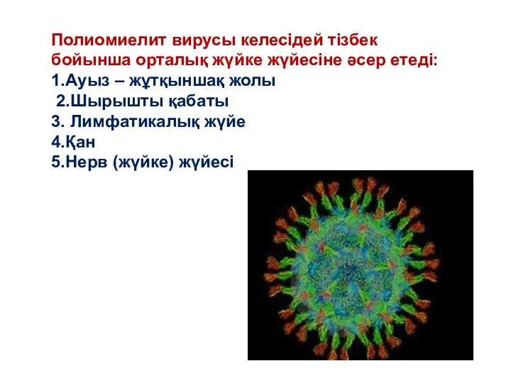 Полиомиелит вирусы келесідей тізбек бойынша орталық жүйке жүйесіне әсер етеді: