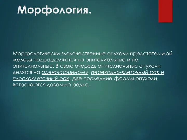 Морфология. Морфологически злокачественные опухоли предстательной железы подразделяются на эпителиальные и