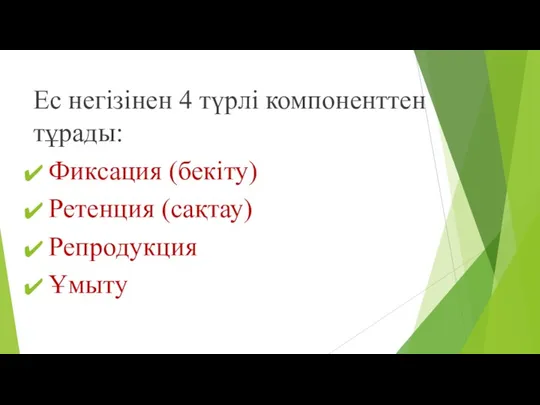 Ес негізінен 4 түрлі компоненттен тұрады: Фиксация (бекіту) Ретенция (сақтау) Репродукция Ұмыту