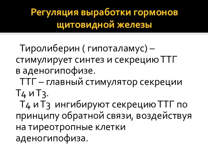 Регуляция выработки гормонов щитовидной железы Тиролиберин ( гипоталамус) – стимулирует