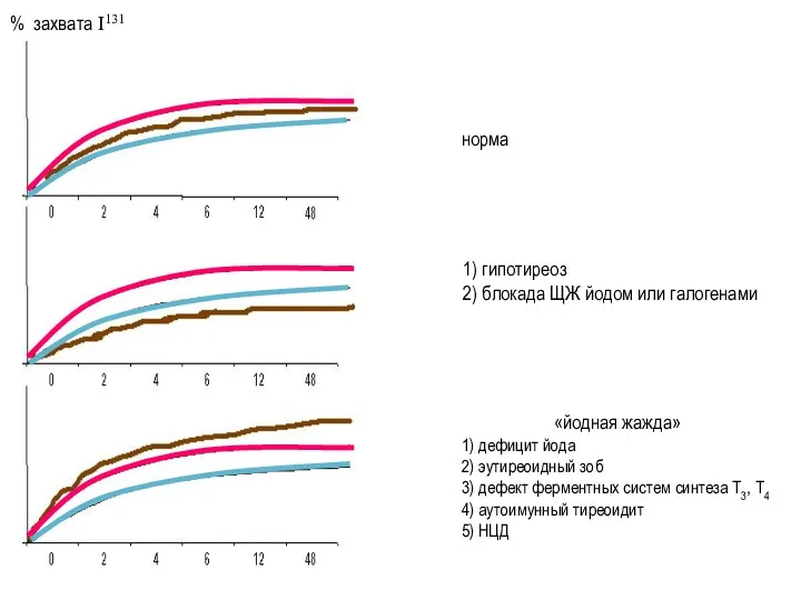 норма 1) гипотиреоз 2) блокада ЩЖ йодом или галогенами «йодная